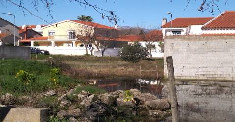 lote de terreno  Lardosa, Castelo Branco.