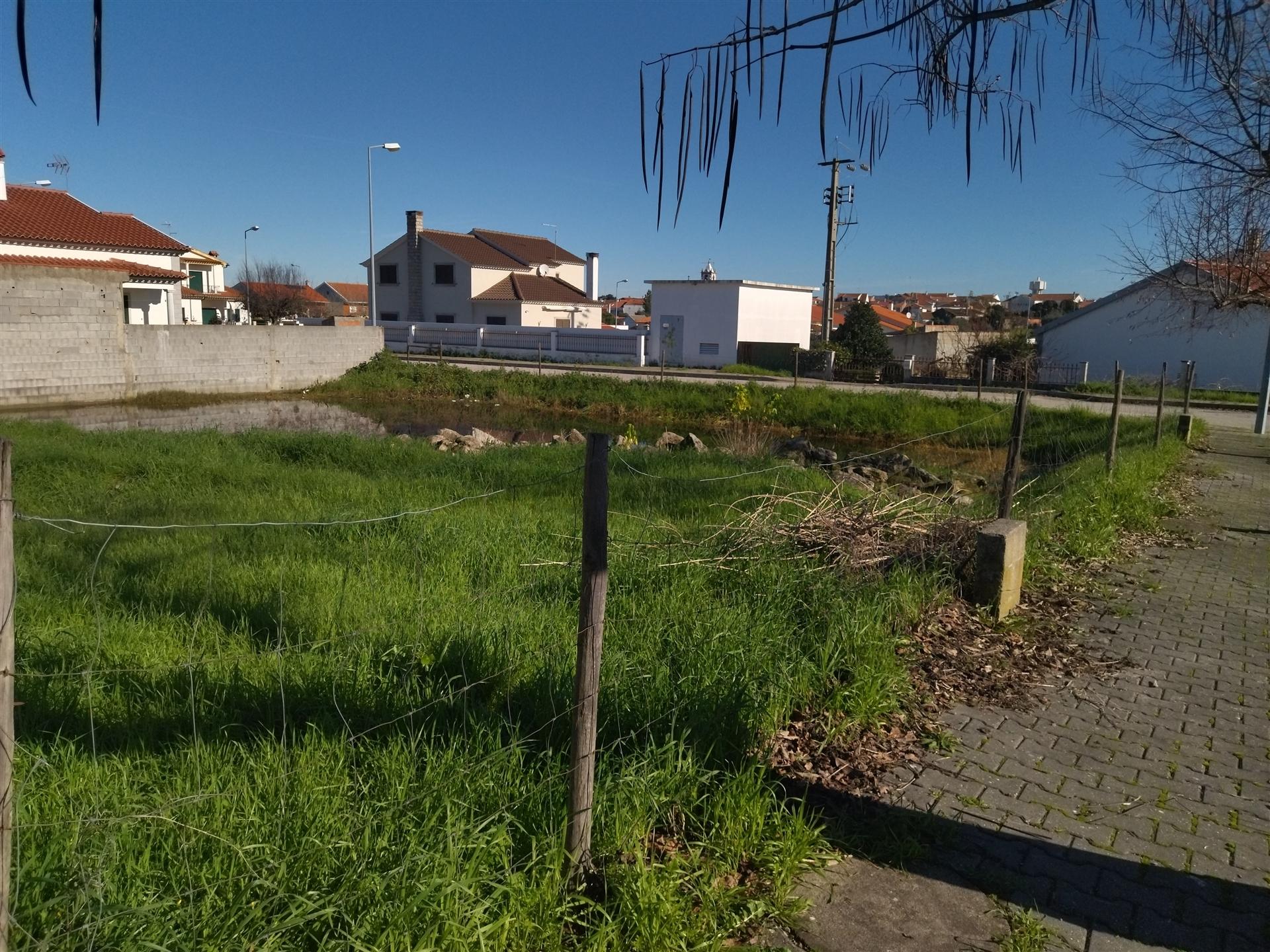 lote de terreno  Lardosa, Castelo Branco.