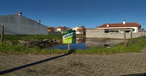 lote de terreno  Lardosa, Castelo Branco.