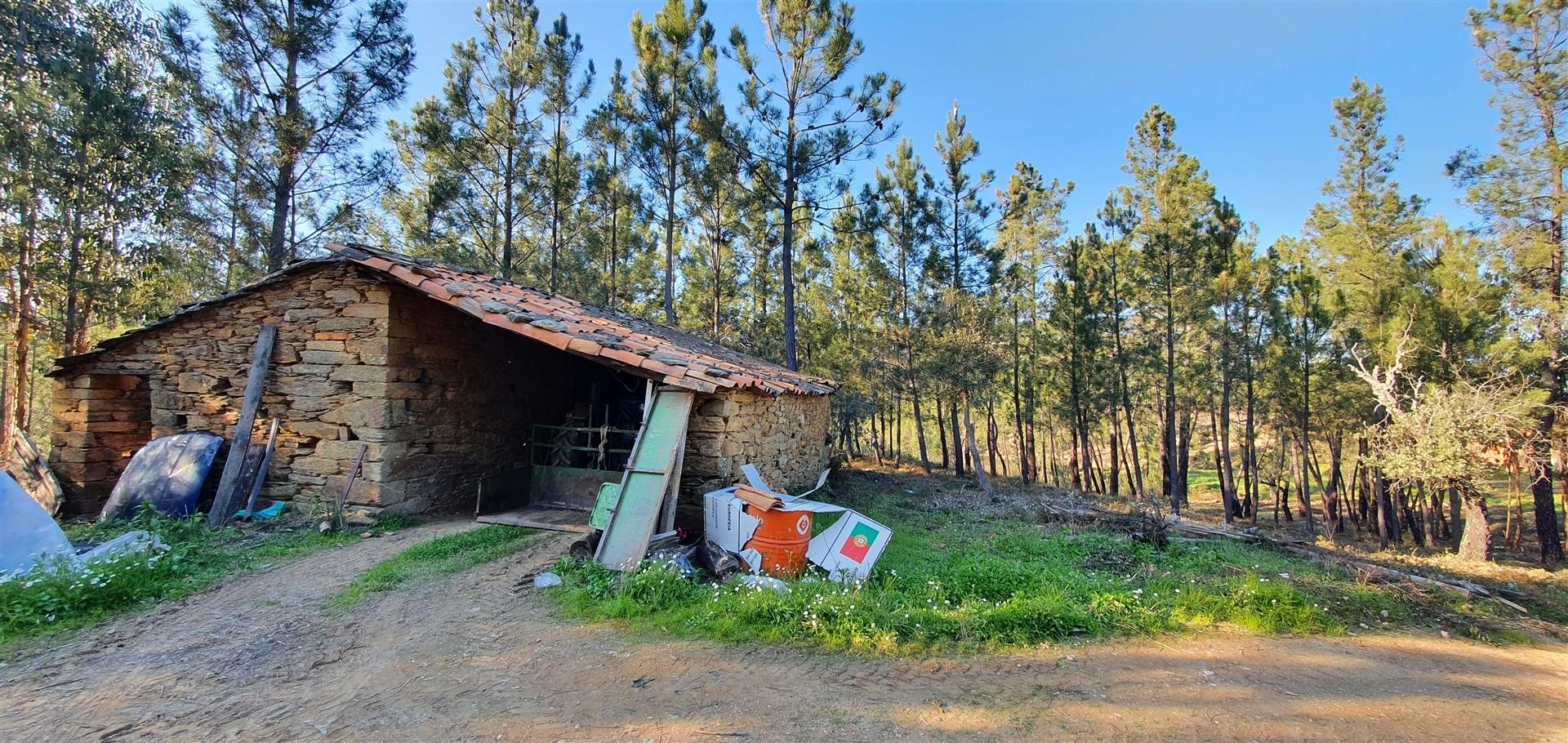 Quinta com 22.560m2 e casa para recuperar na freguesia das Sarzedas