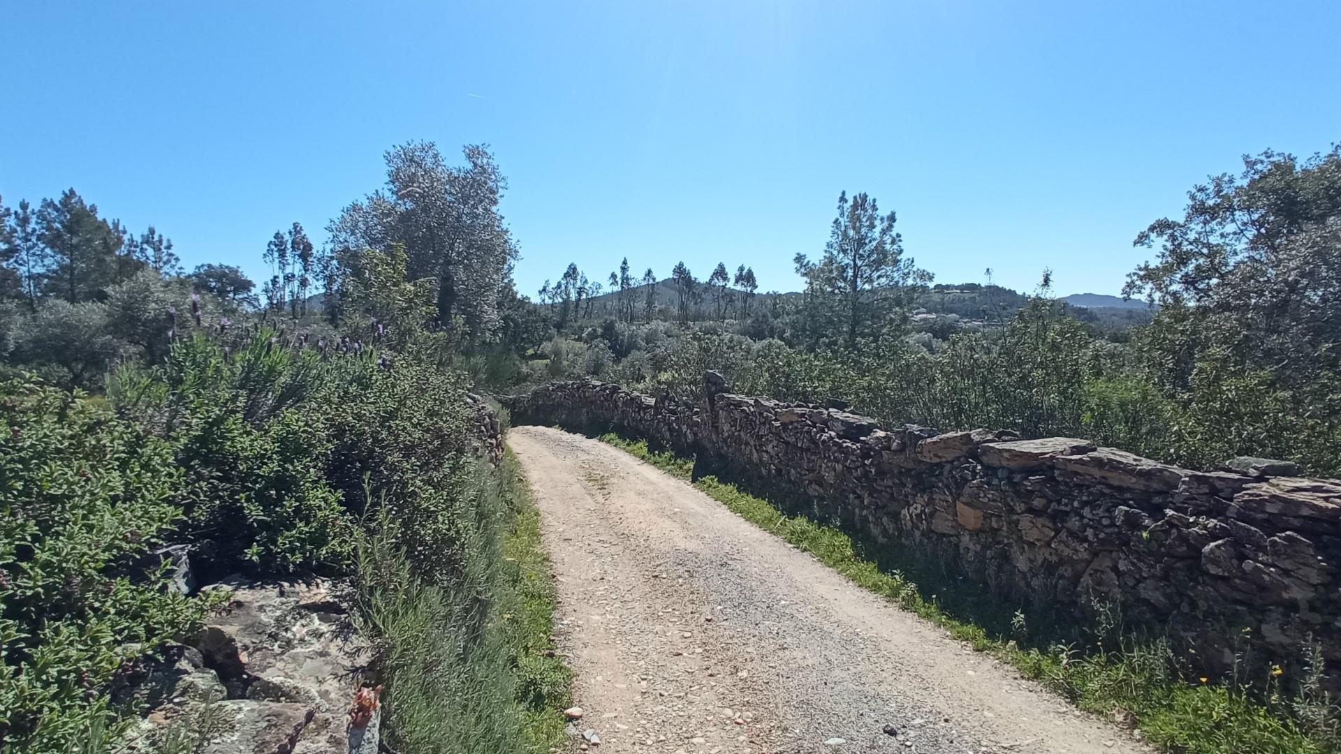 Terreno Rústico com 2640 m2, em Aranhas, Penamacor