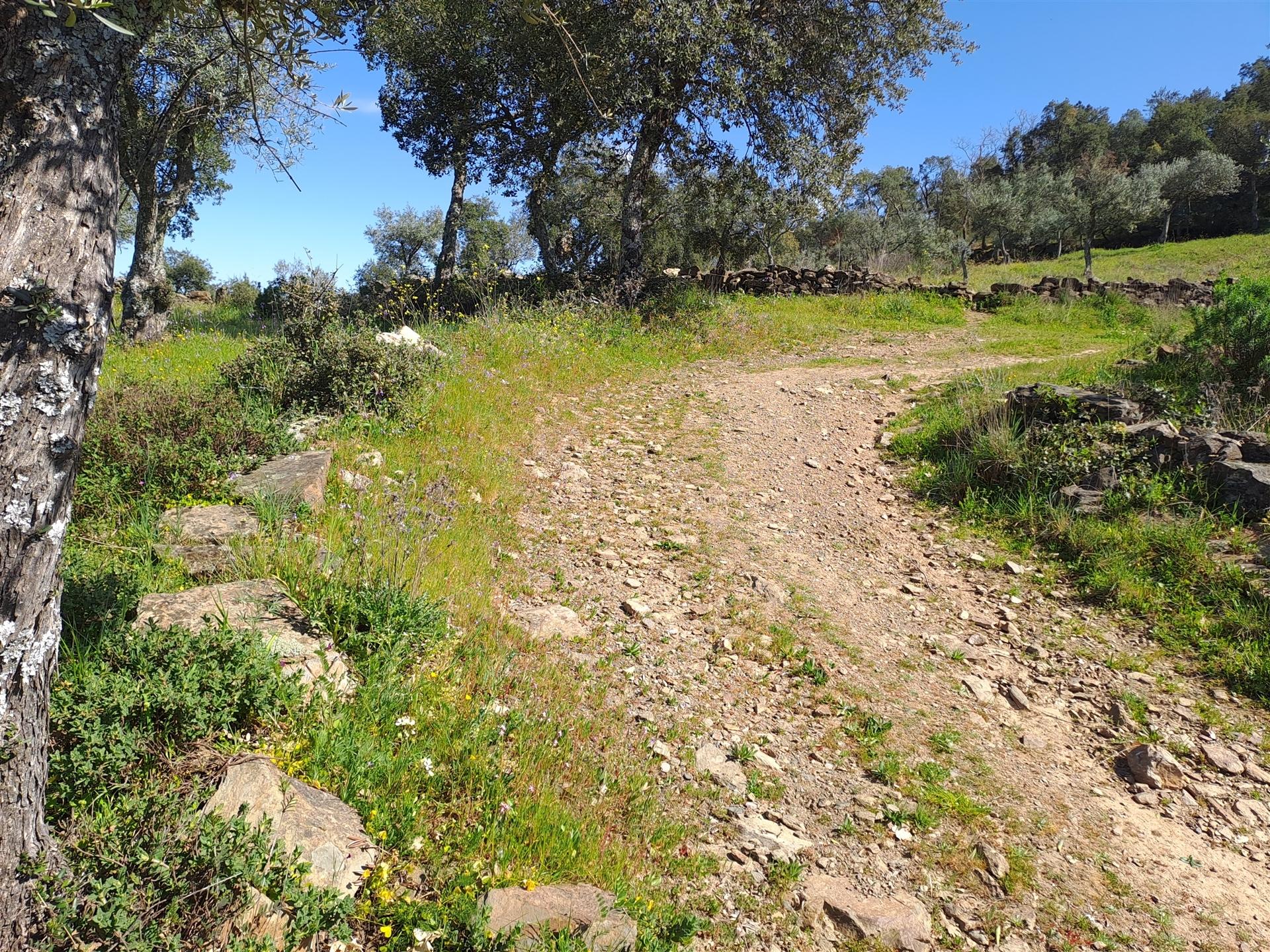 Terreno com 1600m2, situado na aldeia das Aranhas Penamacor.