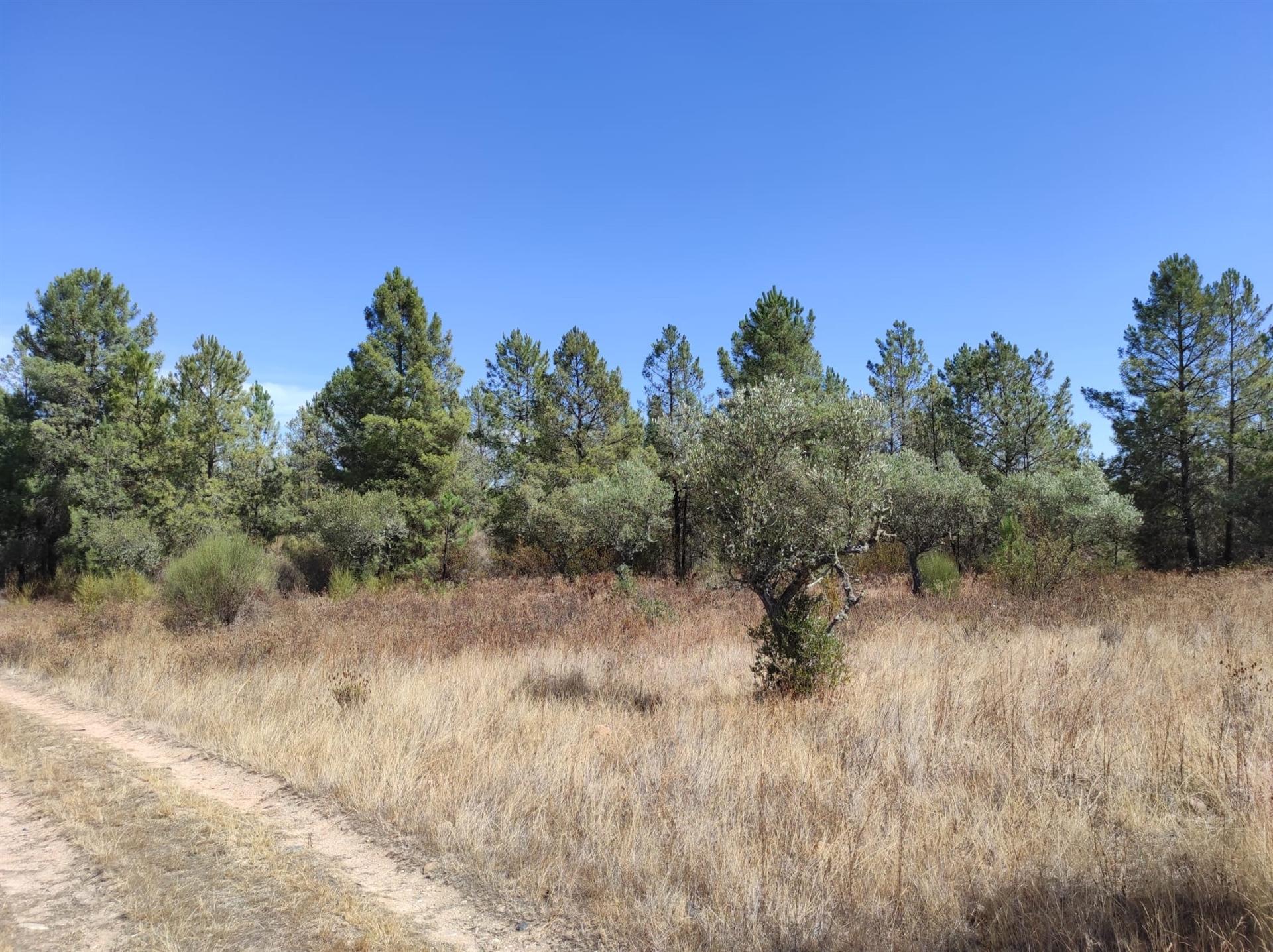 Quinta com 9.18 HA, 1 construção rural, 1 poço