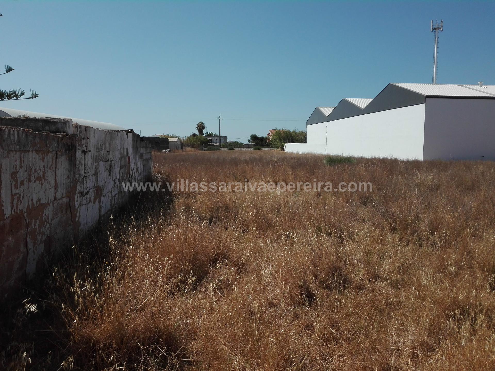 Quinta  Venda em Pechão,Olhão