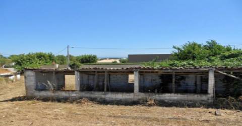 Terreno Rústico  Venda em Pechão,Olhão