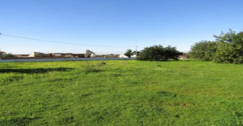 Terreno Rústico  Venda em Pechão,Olhão