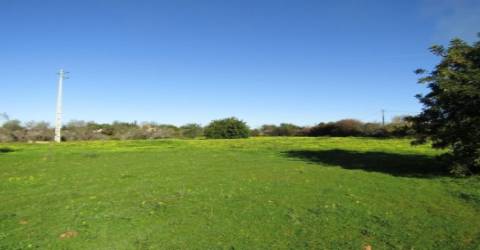 Terreno Rústico  Venda em Pechão,Olhão