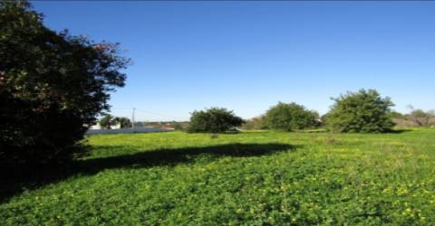 Terreno Rústico  Venda em Pechão,Olhão
