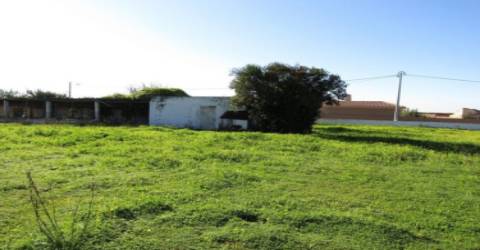Terreno Rústico  Venda em Pechão,Olhão