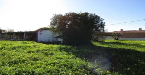 Terreno Rústico  Venda em Pechão,Olhão