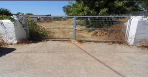 Terreno Rústico  Venda em Pechão,Olhão