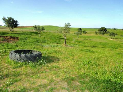 Terreno  Venda em Aljustrel e Rio de Moinhos,Aljustrel