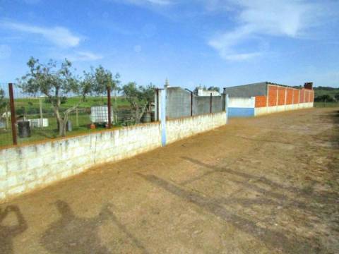 Terreno  Venda em Aljustrel e Rio de Moinhos,Aljustrel
