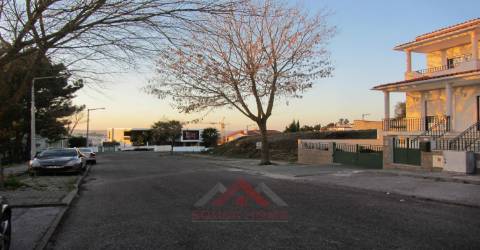 Lote Casal de Matos - Pousos