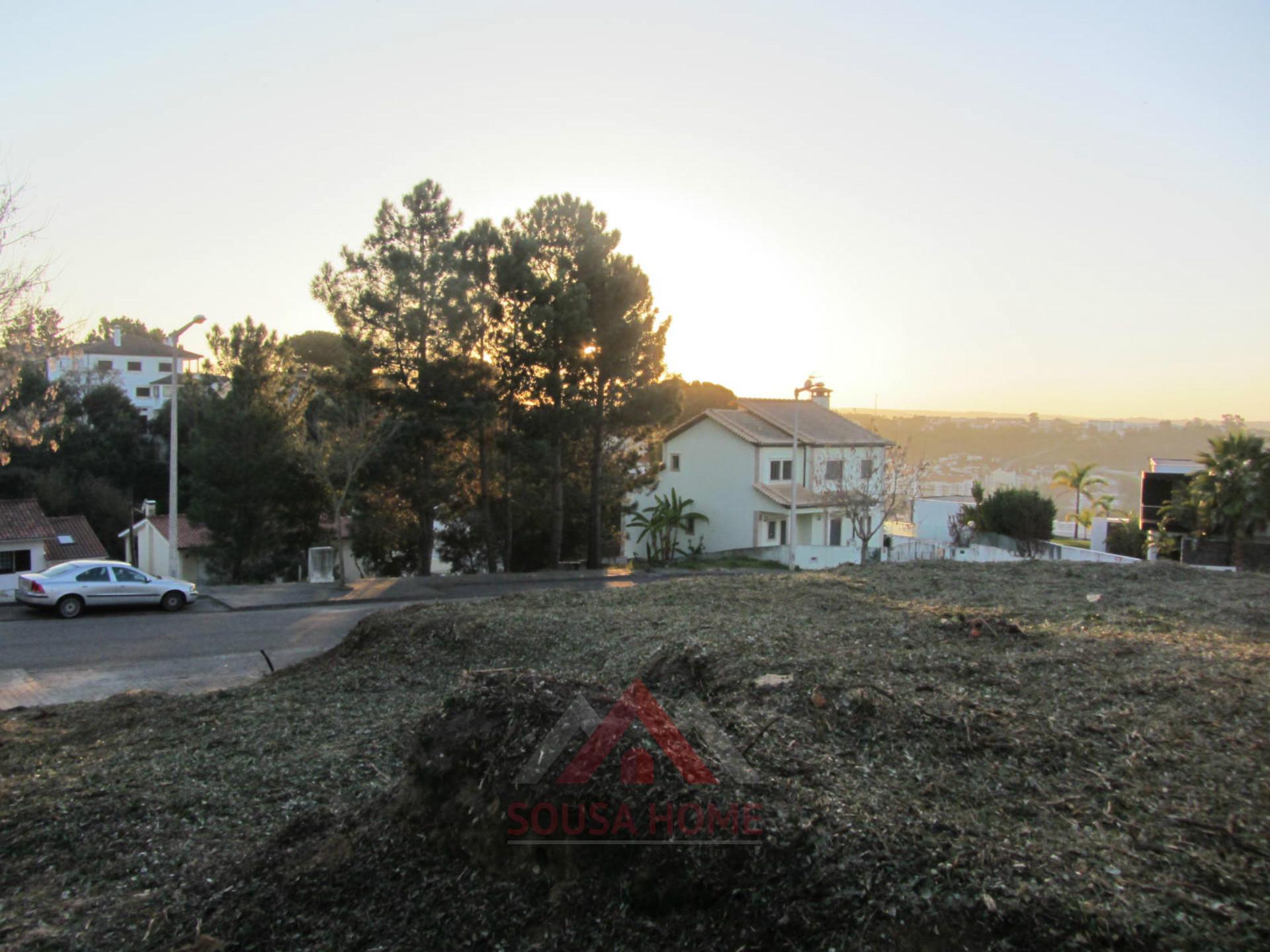 Lote Casal de Matos - Pousos