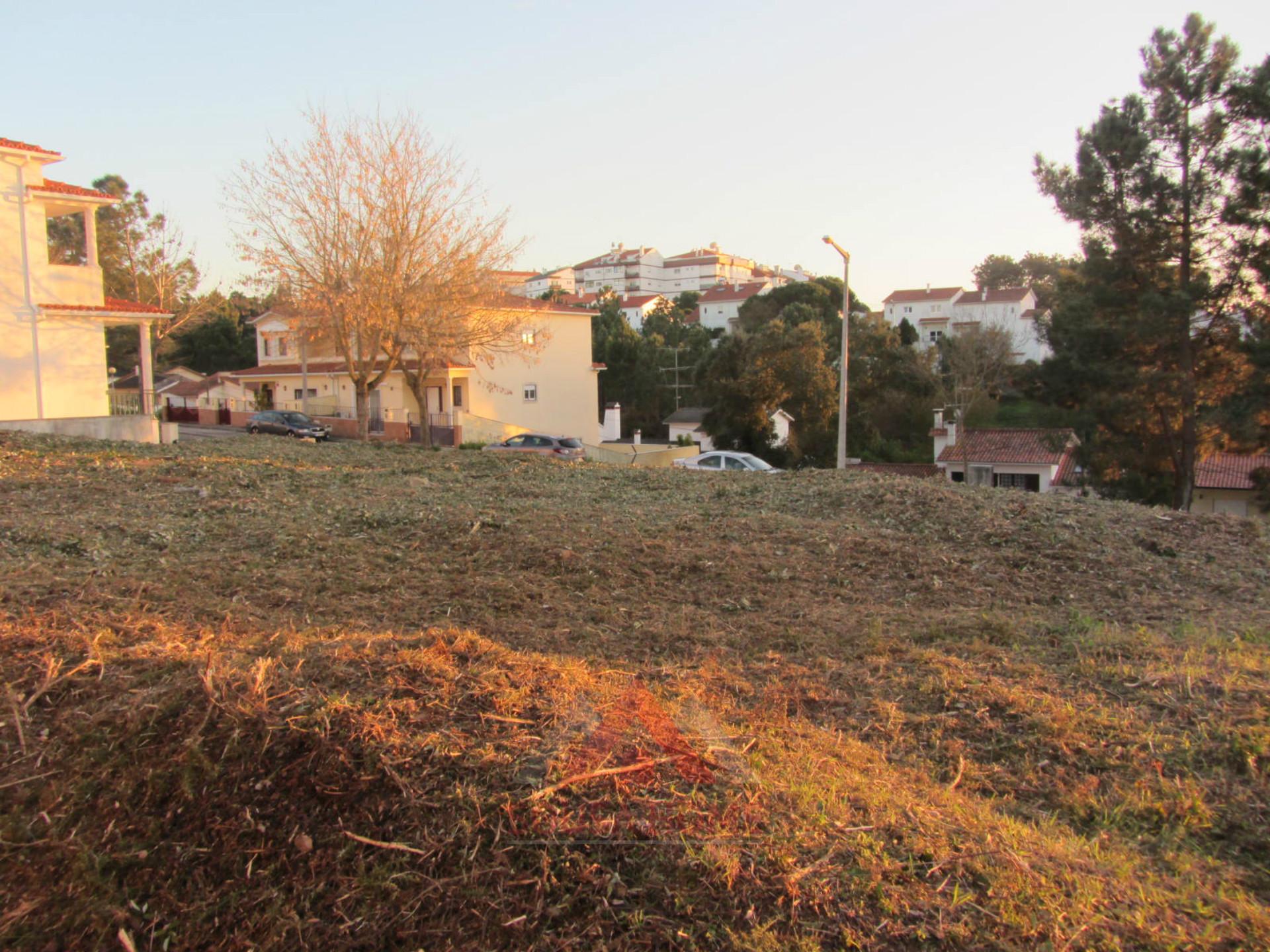 Lote Casal de Matos - Pousos