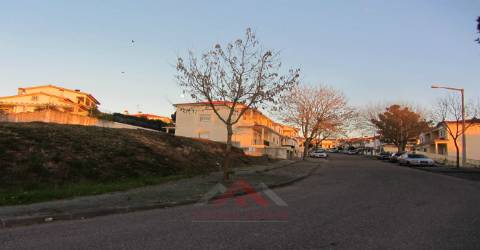 Lote Casal de Matos - Pousos