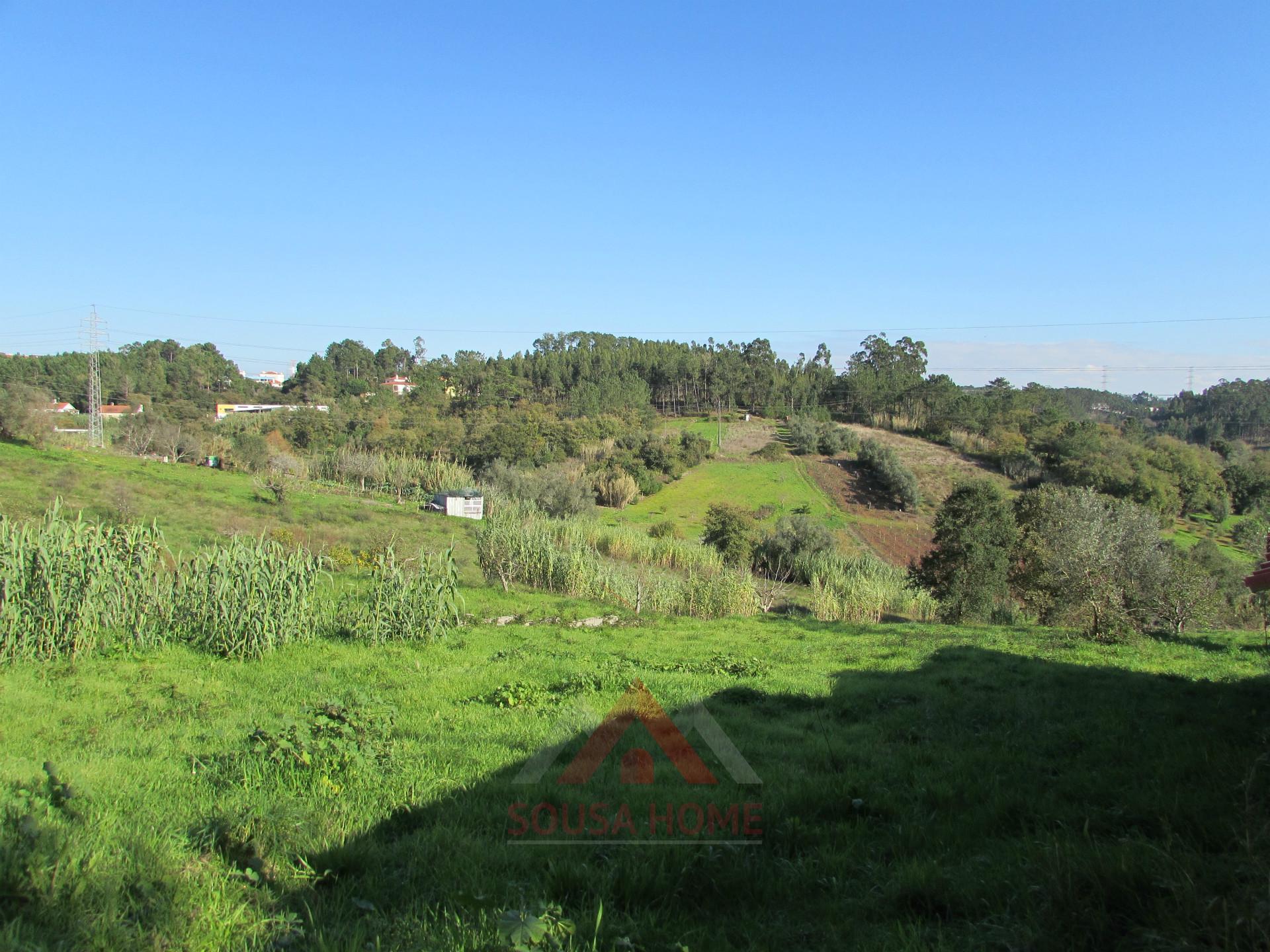 Terreno p/ Construção - Casal de Matos