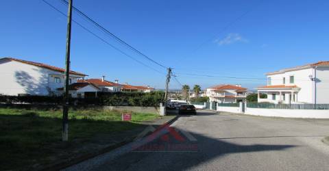 Lote Casal de Matos - Pousos