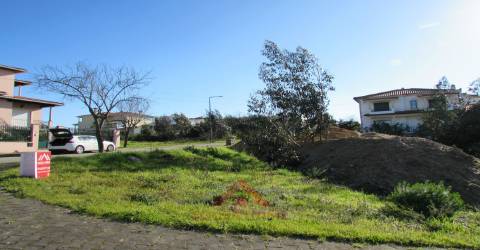 Lote Casal de Matos - Pousos