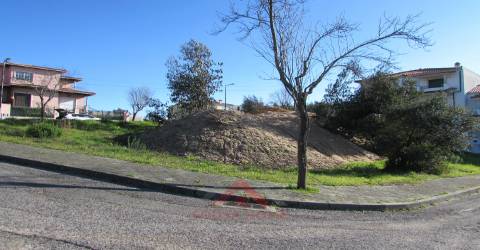 Lote Casal de Matos - Pousos
