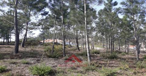 LOTE C/ Projecto Aprovado Moradia - Boavista