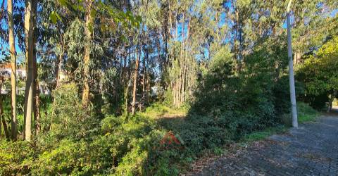 Terreno Óptima Exposição / Localização