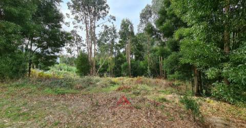 Lote Construção Moradia / Exposição / Localização