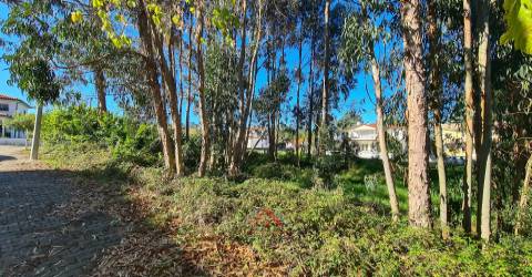 Terreno Para Construção / Habitação