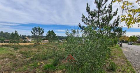 Terreno Para Construção / Habitação