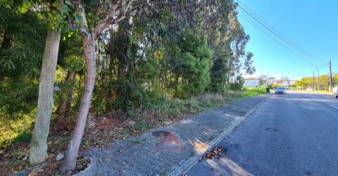 Lote Para Construção / Habitação