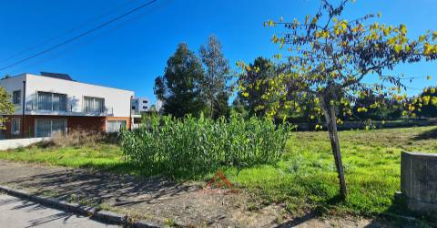 Lote Para Construção / Habitação