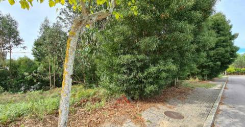 Lote Para Construção / Habitação