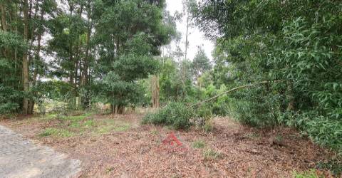 Lote Para Construção / Habitação - Moradia