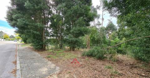 Lote Para Construção / Habitação - Moradia