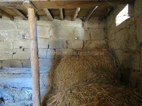 Moradia para Restaurar T0 Venda em Tourais e Lajes,Seia