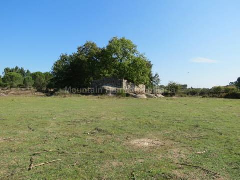 Quinta  Venda em Paranhos,Seia
