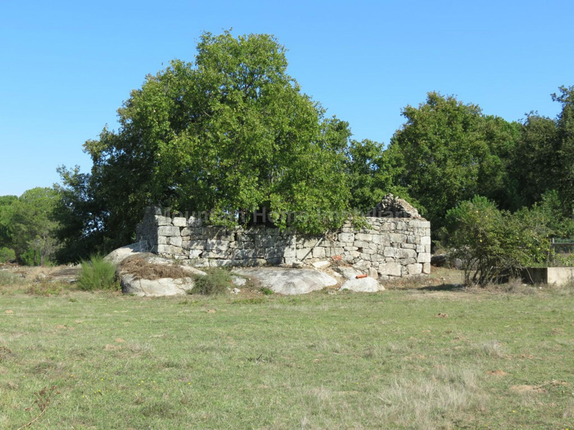 Quinta  Venda em Paranhos,Seia