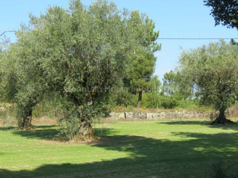 Quinta  Venda em Paranhos,Seia