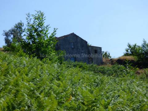 Quintinha  Venda em São Gião,Oliveira do Hospital