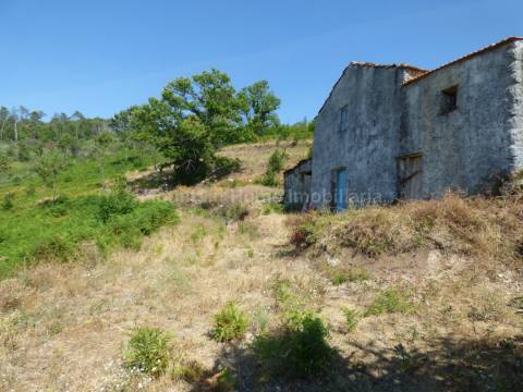 Quintinha  Venda em São Gião,Oliveira do Hospital