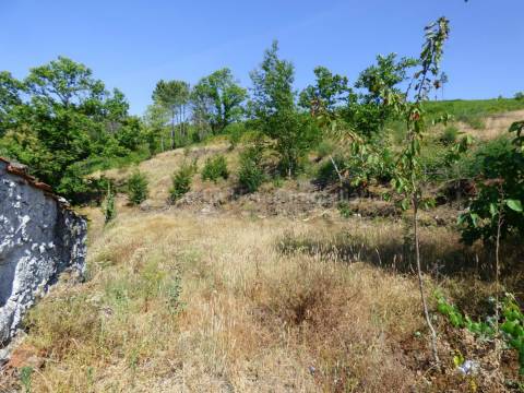 Quintinha  Venda em São Gião,Oliveira do Hospital