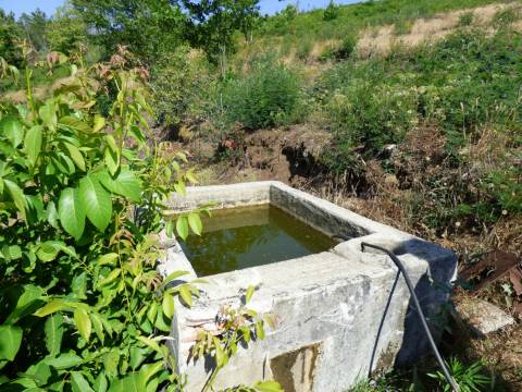 Quintinha  Venda em São Gião,Oliveira do Hospital