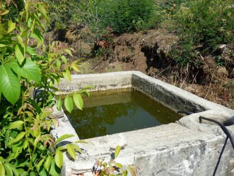 Quintinha  Venda em São Gião,Oliveira do Hospital