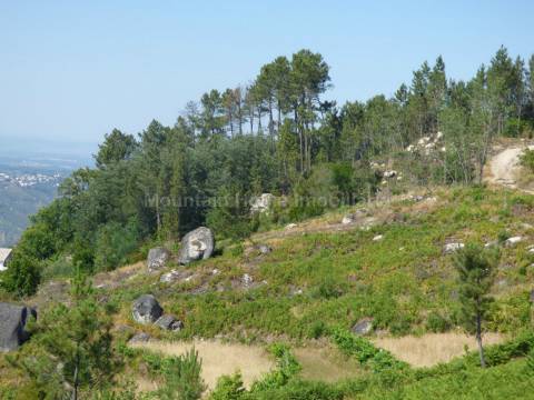 Quintinha  Venda em São Gião,Oliveira do Hospital