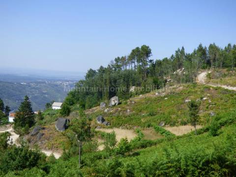 Quintinha  Venda em São Gião,Oliveira do Hospital