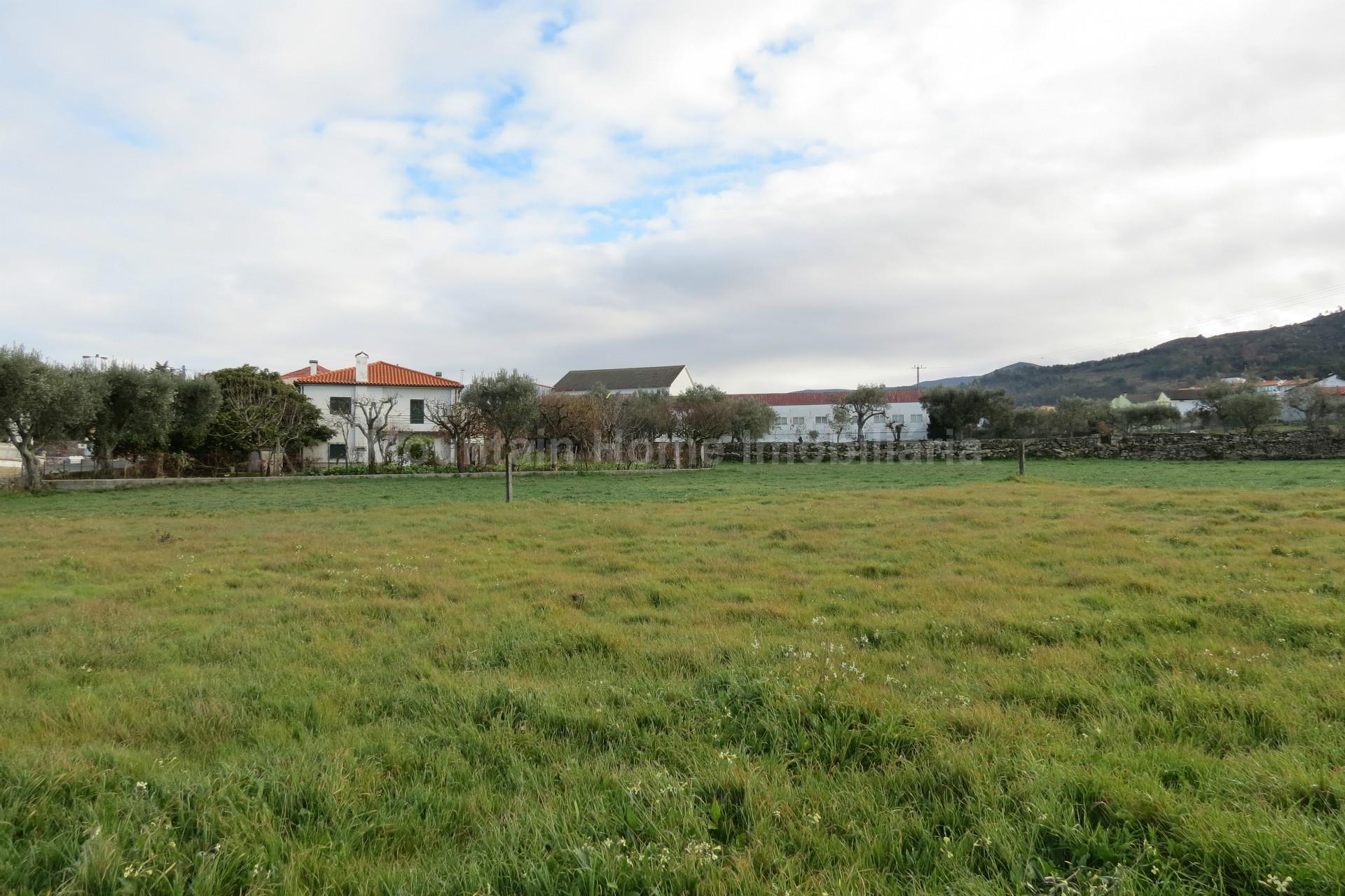 Terreno Para Construção  Venda em Santa Marinha e São Martinho,Seia