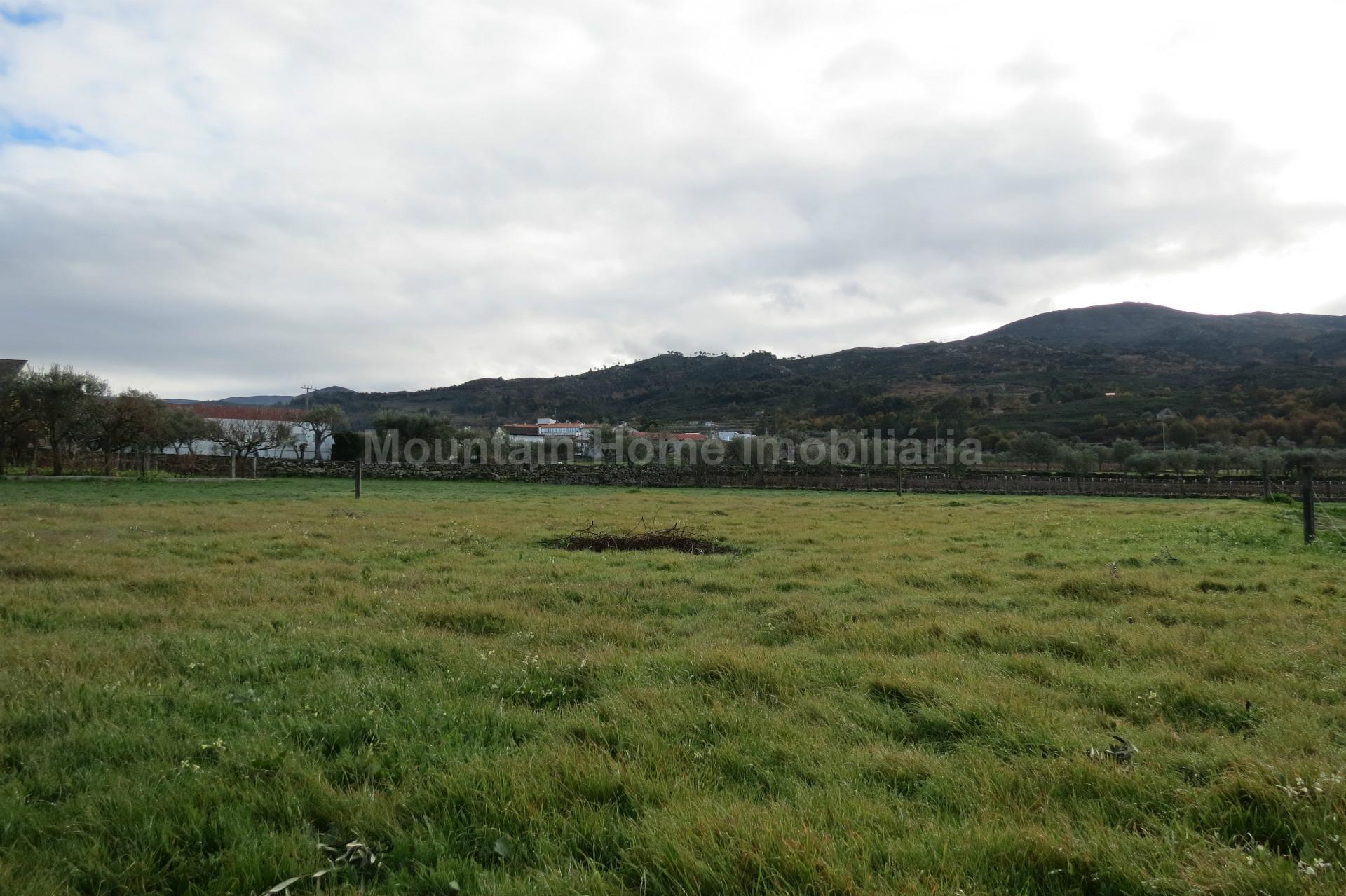 Terreno Para Construção  Venda em Santa Marinha e São Martinho,Seia