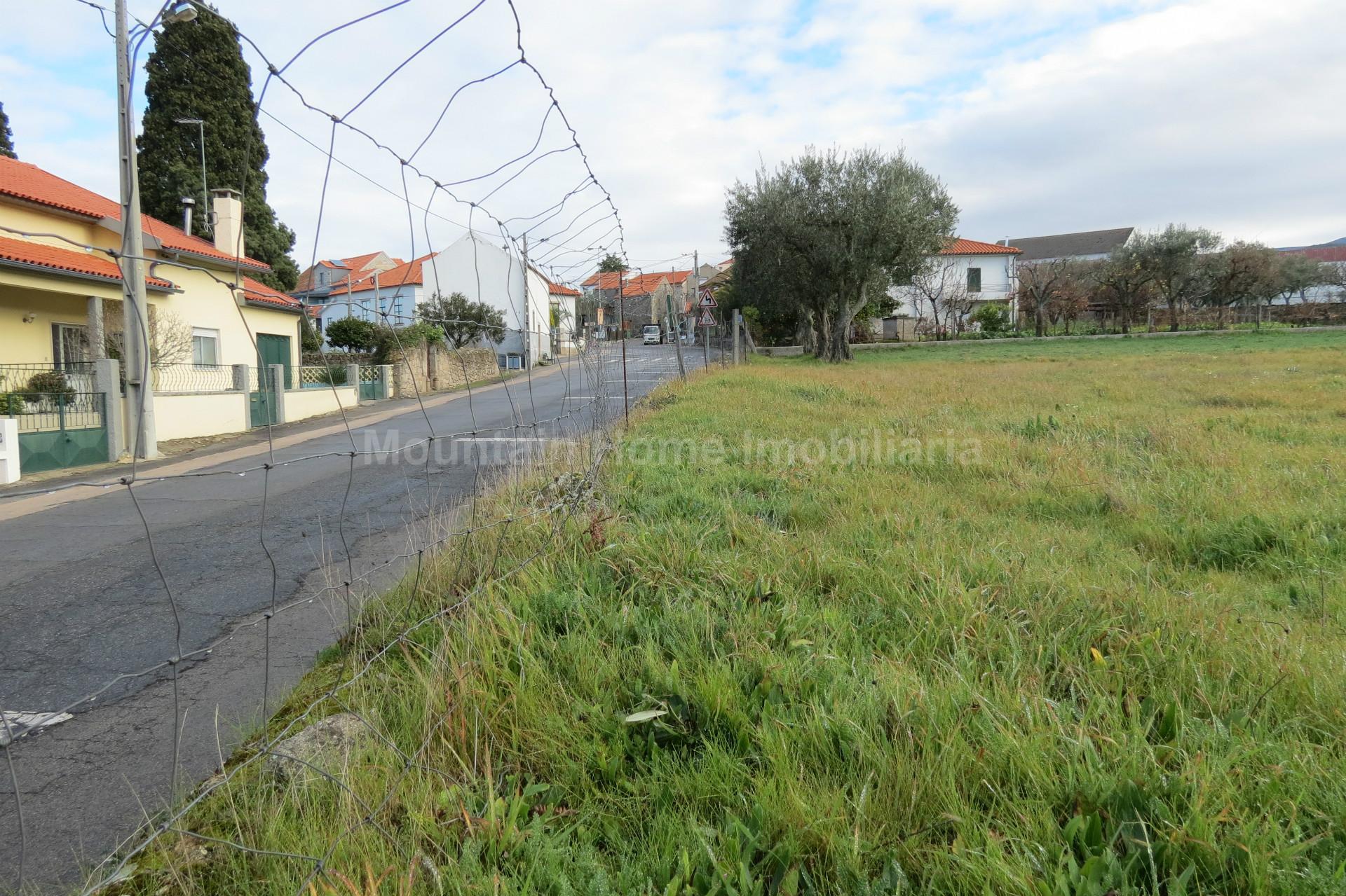 Terreno Para Construção  Venda em Santa Marinha e São Martinho,Seia