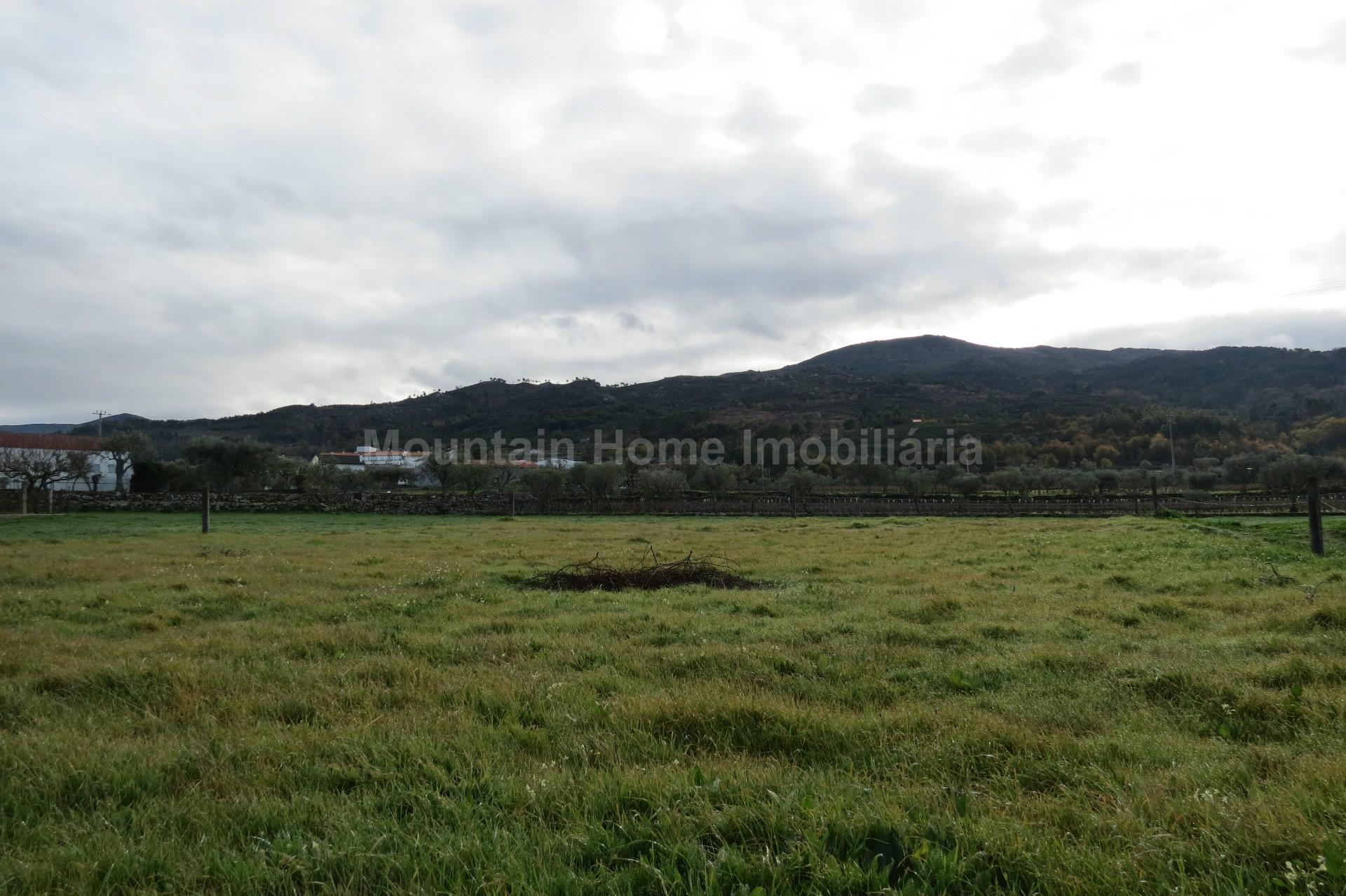 Terreno Para Construção  Venda em Santa Marinha e São Martinho,Seia